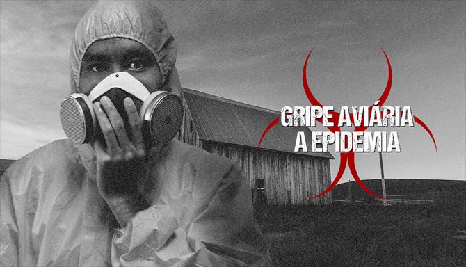 Gripe Aviária - A Epidemia