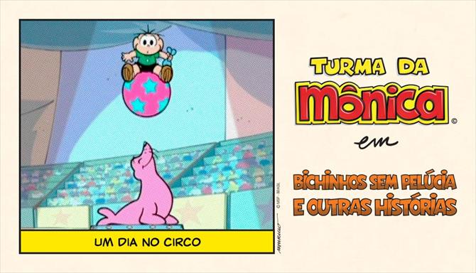 Bichinhos Sem Pelúcia e Outras Histórias - Um Dia no Circo