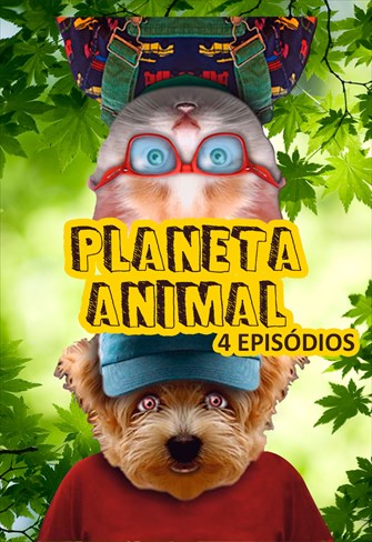 Planeta Animal - Volume 1 - Ep. 01 - Elefantes / Cachorros / Morcegos / Gatos / Camaleões / Cobras